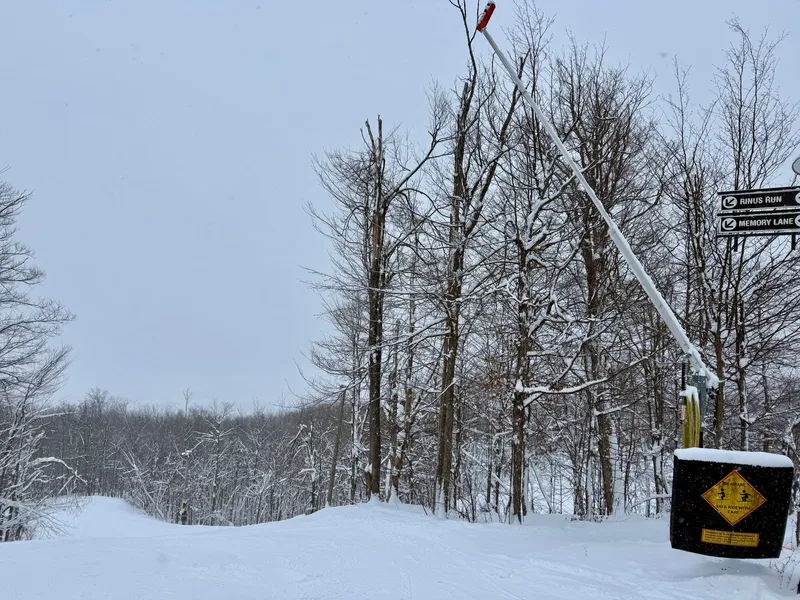 A groomed ski run at Blue Mountain edged with snow-covered trees under a grey sky.